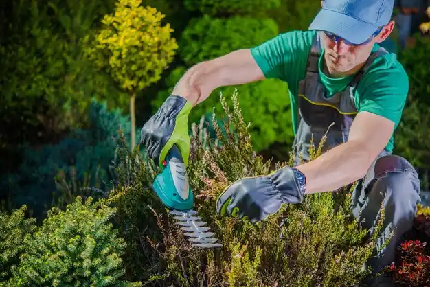 landscaping services East Quogue